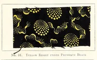 An illustration from Aniline black and its applications in dyeing and printing (1909)