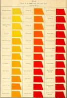 Picture 4 of 16 from The aniline colours of the Badische Anilin- & Soda-Fabrik, Ludwigshafen on Rhine and their application on wool, cotton, silk and other textile fibres (1901), leaf 151