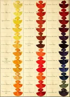 Picture 11 of 16 from The aniline colours of the Badische Anilin- & Soda-Fabrik, Ludwigshafen on Rhine and their application on wool, cotton, silk and other textile fibres (1901), leaf 295