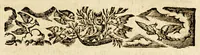 An illustration from Animadversiones in librum Prae-Adamitarum. : In quibus confutatur nuperus scriptor, et primum omnium hominum fuisse Adamum defenditur. (1656)
