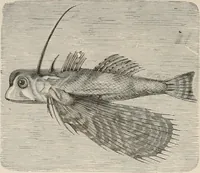 An illustration from Animal coloration; an account of the principal facts and theories relating to the colours and markings of animals (1892)