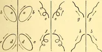 An illustration from Animal locomotion, or Walking, swimming, and flying, with a dissertation on aëronautics (1874)