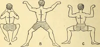 An illustration from Animal locomotion, or Walking, swimming, and flying, with a dissertation on aëronautics (1874)