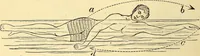An illustration from Animal locomotion, or Walking, swimming, and flying, with a dissertation on aëronautics (1874)
