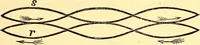 Picture 42 of 96 from Animal locomotion, or Walking, swimming, and flying, with a dissertation on aëronautics (1874), leaf 122