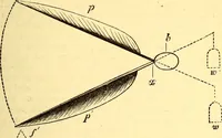 An illustration from Animal locomotion, or Walking, swimming, and flying, with a dissertation on aëronautics (1874)