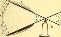 An illustration from Animal locomotion, or Walking, swimming, and flying, with a dissertation on aëronautics (1874)