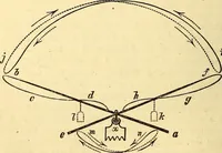 An illustration from Animal locomotion, or Walking, swimming, and flying, with a dissertation on aëronautics (1874)