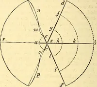 An illustration from Animal locomotion, or Walking, swimming, and flying, with a dissertation on aëronautics (1874)