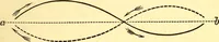 An illustration from Animal locomotion, or Walking, swimming, and flying, with a dissertation on aëronautics (1874)
