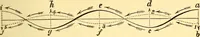 An illustration from Animal locomotion, or Walking, swimming, and flying, with a dissertation on aëronautics (1874)