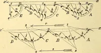 An illustration from Animal locomotion, or Walking, swimming, and flying, with a dissertation on aëronautics (1874)