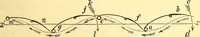 An illustration from Animal locomotion, or Walking, swimming, and flying, with a dissertation on aëronautics (1874)