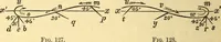An illustration from Animal locomotion, or Walking, swimming, and flying, with a dissertation on aëronautics (1874)