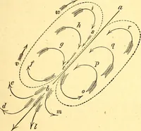 An illustration from Animal locomotion, or Walking, swimming, and flying, with a dissertation on aëronautics (1874)
