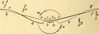 An illustration from Animal locomotion, or Walking, swimming, and flying, with a dissertation on aëronautics (1874)