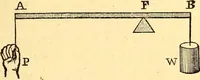 An illustration from Animal locomotion, or Walking, swimming, and flying, with a dissertation on aëronautics (1874)