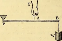 An illustration from Animal locomotion, or Walking, swimming, and flying, with a dissertation on aëronautics (1874)
