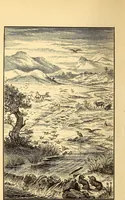 An illustration from Animal locomotion, or Walking, swimming, and flying, with a dissertation on aëronautics (1874)