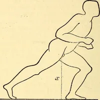 An illustration from Animal locomotion, or Walking, swimming, and flying, with a dissertation on aëronautics (1874)