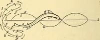 An illustration from Animal locomotion, or Walking, swimming, and flying, with a dissertation on aëronautics (1874)