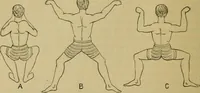 An illustration from Animal locomotion or walking, swimming, and flying : with a dissertation on aëronautics (1873)