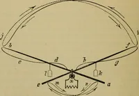 An illustration from Animal locomotion or walking, swimming, and flying : with a dissertation on aëronautics (1873)
