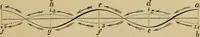 An illustration from Animal locomotion or walking, swimming, and flying : with a dissertation on aëronautics (1873)