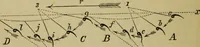 An illustration from Animal locomotion or walking, swimming, and flying : with a dissertation on aëronautics (1873)