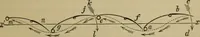 An illustration from Animal locomotion or walking, swimming, and flying : with a dissertation on aëronautics (1873)