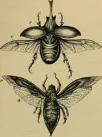 An illustration from Animal locomotion or walking, swimming, and flying : with a dissertation on aëronautics (1873)