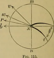 An illustration from Animal locomotion or walking, swimming, and flying : with a dissertation on aëronautics (1873)