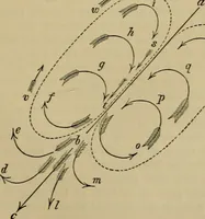 An illustration from Animal locomotion or walking, swimming, and flying : with a dissertation on aëronautics (1873)