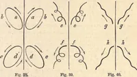 An illustration from Animal locomotion, or Walking, swimming, and flying, with a dissertation on aëronautics (1874)