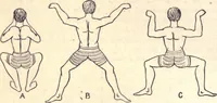An illustration from Animal locomotion, or Walking, swimming, and flying, with a dissertation on aëronautics (1874)