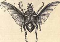 An illustration from Animal locomotion, or Walking, swimming, and flying, with a dissertation on aëronautics (1874)