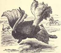An illustration from Animal locomotion, or Walking, swimming, and flying, with a dissertation on aëronautics (1874)
