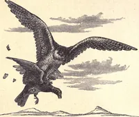 An illustration from Animal locomotion, or Walking, swimming, and flying, with a dissertation on aëronautics (1874)