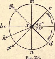 An illustration from Animal locomotion, or Walking, swimming, and flying, with a dissertation on aëronautics (1874)