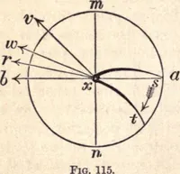 An illustration from Animal locomotion, or Walking, swimming, and flying, with a dissertation on aëronautics (1874)