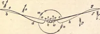 An illustration from Animal locomotion, or Walking, swimming, and flying, with a dissertation on aëronautics (1874)