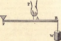 An illustration from Animal locomotion, or Walking, swimming, and flying, with a dissertation on aëronautics (1874)