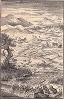 An illustration from Animal locomotion, or Walking, swimming, and flying, with a dissertation on aëronautics (1874)