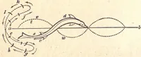 Picture 21 of 80 from Animal locomotion, or Walking, swimming, and flying, with a dissertation on aëronautics (1874), leaf 93