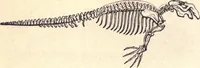 An illustration from Animal locomotion, or Walking, swimming, and flying, with a dissertation on aëronautics (1874)