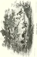 An illustration from Animal painters of England from the year 1650 : a brief history of their lives and works: illustrated with--specimens of their paintngs (1900)