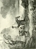 An illustration from Animal painters of England from the year 1650 : a brief history of their lives and works: illustrated with--specimens of their paintngs (1900)