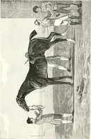 An illustration from Animal painters of England from the year 1650 : a brief history of their lives and works: illustrated with--specimens of their paintngs (1900)