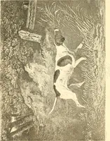 An illustration from Animal painters of England from the year 1650 : a brief history of their lives and works: illustrated with--specimens of their paintngs (1900)