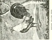 An illustration from Animal painters of England from the year 1650 : a brief history of their lives and works: illustrated with--specimens of their paintngs (1900)